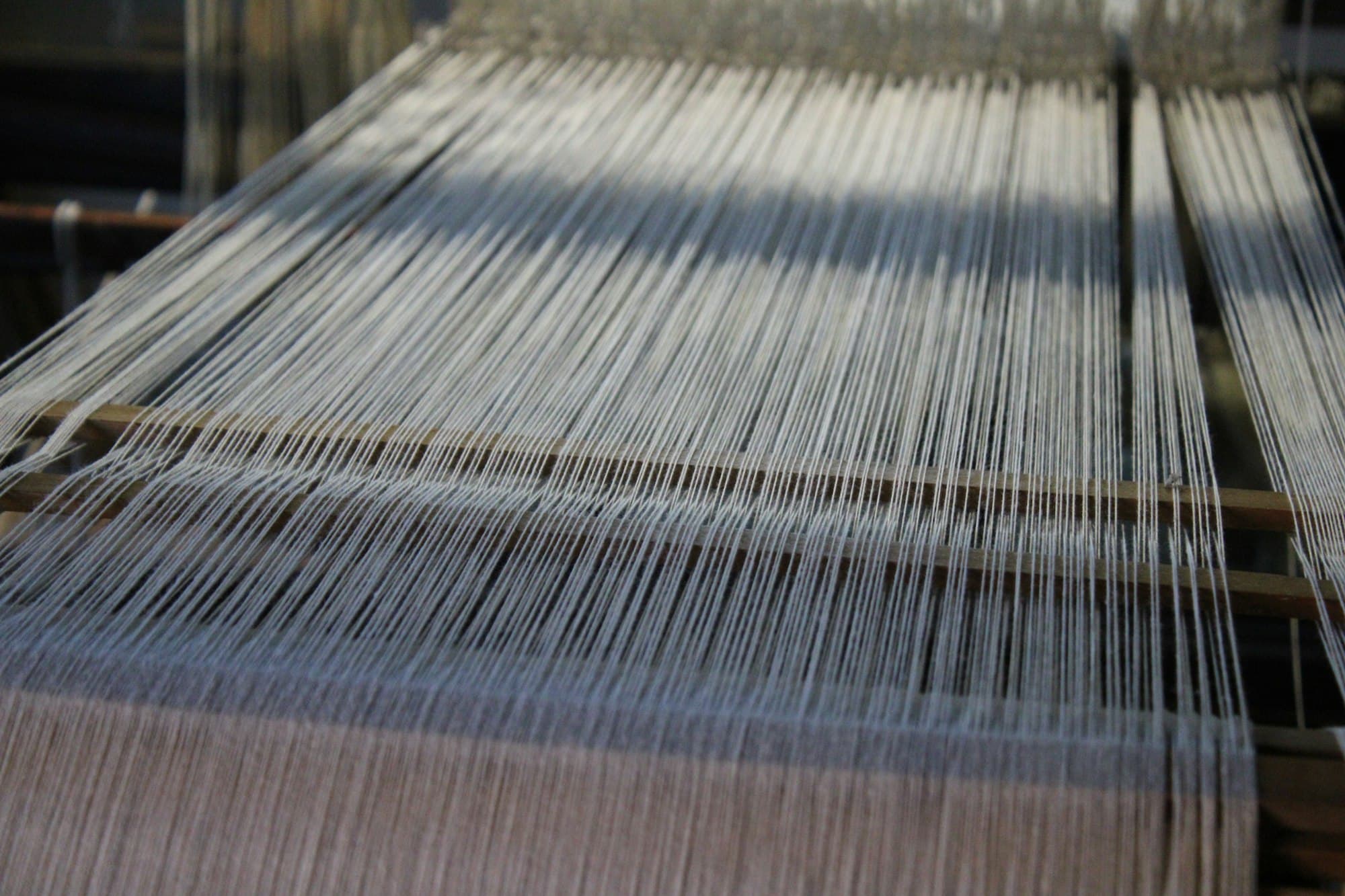 Warp threads running through a weaving loom